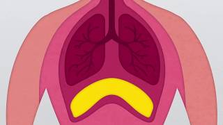 How to release the diaphragm properly [upl. by Natam]