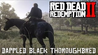 Red Dead Redemption 2  Acquiring The Dappled Black Thoroughbred [upl. by Caralie344]