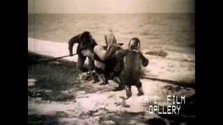 Eskimo Hunters Northwestern Alaska 1949 [upl. by Leinahtam648]