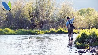 Fly fishing How To fly fish Nymphs or Nymphing [upl. by Verlie805]