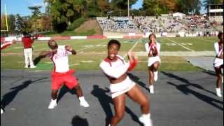 2012 WSSU Cheerleaders Its called Survival [upl. by Ademla]