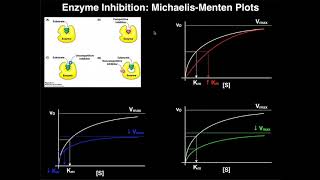 Enzyme Inhibitors  Mechanisms MichaelisMenten Plots amp Effects [upl. by Sioled836]