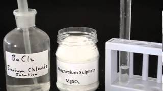 Test for a sulfate [upl. by Sheree]