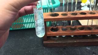 Cation Test Zinc Ions [upl. by Redep]