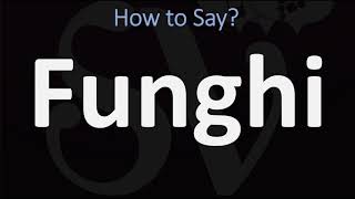 How to Pronounce Funghi CORRECTLY [upl. by Akyssej]