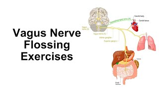 Vagus Nerve Flossing Exercises for Better Health [upl. by Enahpets]