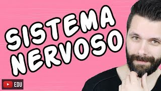 SISTEMA NERVOSO  FISIOLOGIA  Aula  Biologia com Samuel Cunha [upl. by Yldarb]