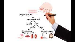 Pharmacology  NSAIDs amp PROSTAGLANDIN ANALOGS MADE EASY [upl. by Ecnedurp139]