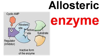 Allosteric enzyme [upl. by Rehpotsirk139]