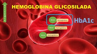 Hemoglobina Glicosilada HbA1c [upl. by Chadwick]