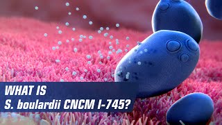 What is Saccharomyces boulardii CNCM I745 [upl. by Eudoca]