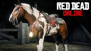 The Best Race Horse In RDO MAX Level Norfolk Roadster Review  Red Dead Online Moonshiners Update [upl. by Elak353]