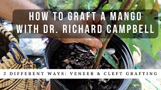 How to Graft a Mango Tree w Dr Richard Campbell [upl. by Charters188]