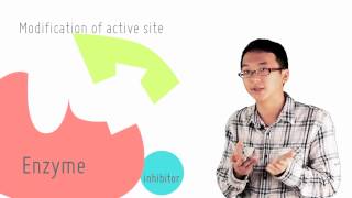 4 1 Reversible vs irreversible inhibition [upl. by Stavros]