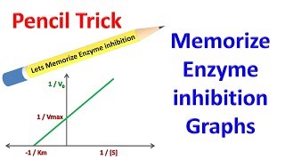 Memorize Enzyme Inhibition [upl. by Bagger466]