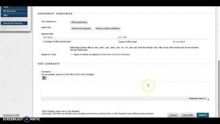 How to submit assignments in Blackboard [upl. by Proctor]