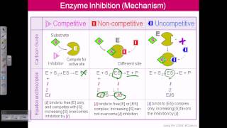 Enzyme inhibition [upl. by Gereld]