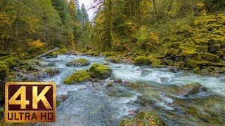 Beautiful Nature Video in 4K Ultra HD  Autumn River Sounds  5 Hours Long [upl. by Kung]