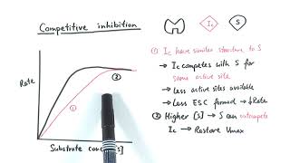 AS Biology  Enzyme inhibition OCR A Chapter 43 [upl. by Olihs224]