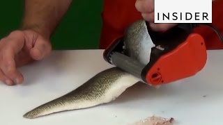 Easy Fish Skinner Tool [upl. by Serilda]