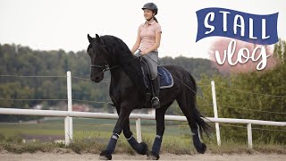 Stallvlog mit Nici  Dressur reiten  VLOG 38  Pilsali [upl. by Layne277]