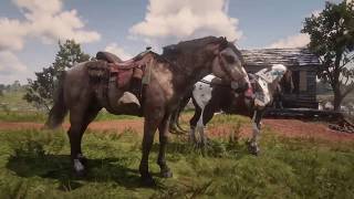 Red Dead Redemption 2  Freeroam riding Norfolk Roadster  Dappled Buckskin and Spotted Tricolor [upl. by Eidde]