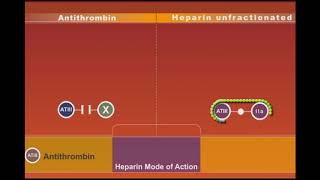 Heparin animation [upl. by Irrac]