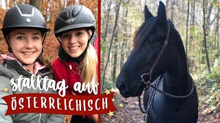 Stalltag auf Österreichisch 🇦🇹 Pilgrim goes Western  Pilsali  VLOG 52 [upl. by Glassco424]