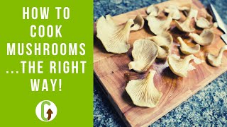 How To Cook Mushrooms The Right Way  GroCycle [upl. by Pol]