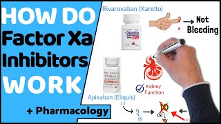 How do Factor Xa Inhibitors Work DOACs [upl. by Isdnyl]