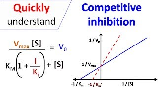 Competitive inhibition [upl. by Pineda498]