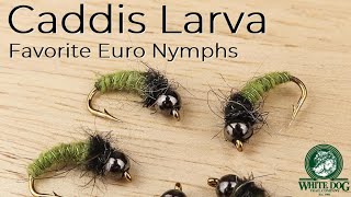 Caddis Larva Euro Nymph  Favorite Euro Nymphs  Fly Tying [upl. by Der]