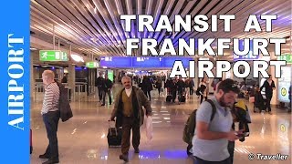 TRANSIT WALK AT FRANKFURT Airport FRA Terminal 1  Connection Flight Transfer Arriving amp Departing [upl. by Enelam579]