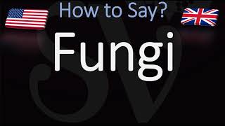 How to Pronounce Fungi [upl. by Einahets]